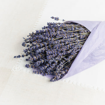 Bündel mit getrocknetem Lavendel – Charmerie