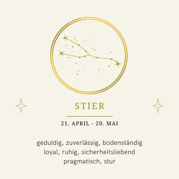 Stier