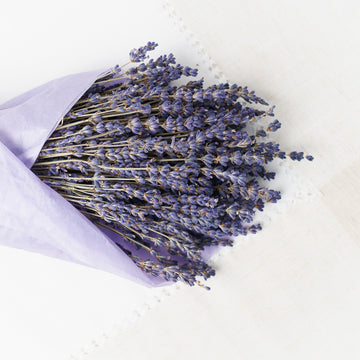 Bündel mit getrocknetem Lavendel – Charmerie